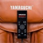    Yamaguchi YA-6000 Axiom