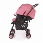   Jetem Graphite Pink