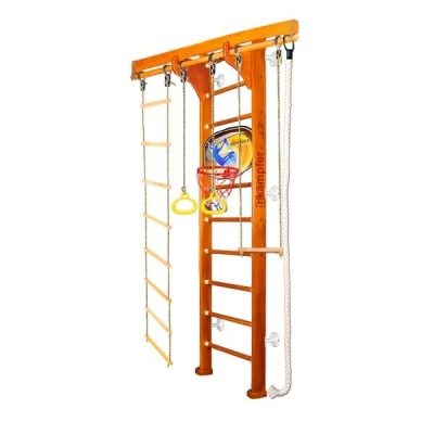   Kampfer Wooden Ladder Wall Basketball Shield -      - Amigomed.ru