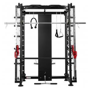   DFC Powergym D822