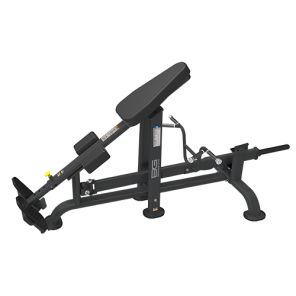   Bronze Gym PL-1718