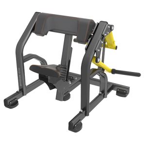   Bronze Gym  PL-1713