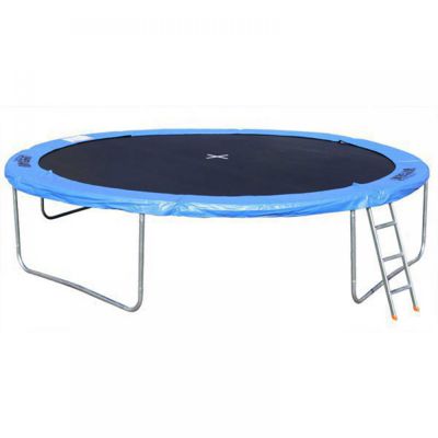  DFC Trampoline Fitness 8 ft -      - Amigomed.ru