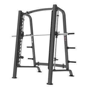   Bronze Gym PL-1721
