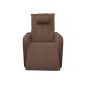      Fujimo Lift Chair F3005 FLFL