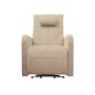     Fujimo Lift Chair F3005 FLWK