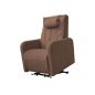     Fujimo Lift Chair F3005 FLWK