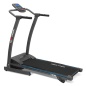     Carbon Fitness T406